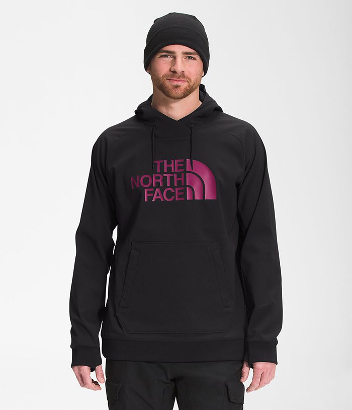 The North Face Hoodie Heren Tekno Logo DUIJ53629 - Zwart